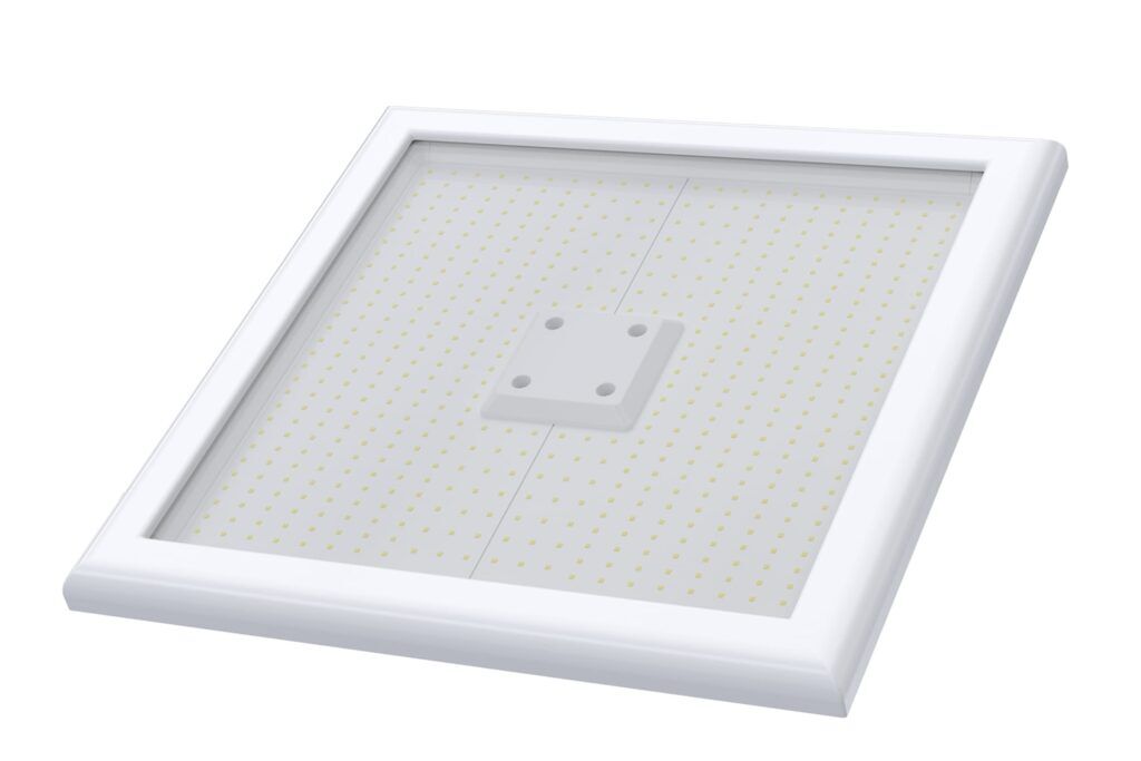 Canopus LED light
